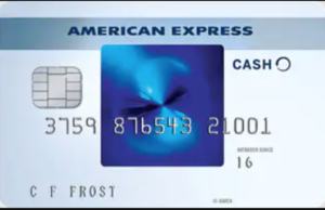 Amex Blue Cash Everyday® Card